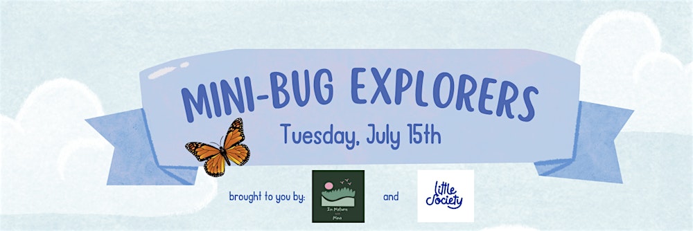 Mini-Bug Explorers for Babies