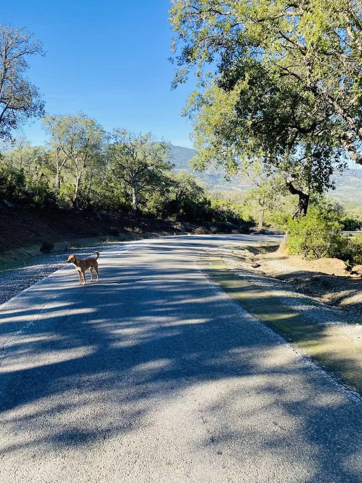 Battle of the Strait – The Ultimate Bikepacking Challenge