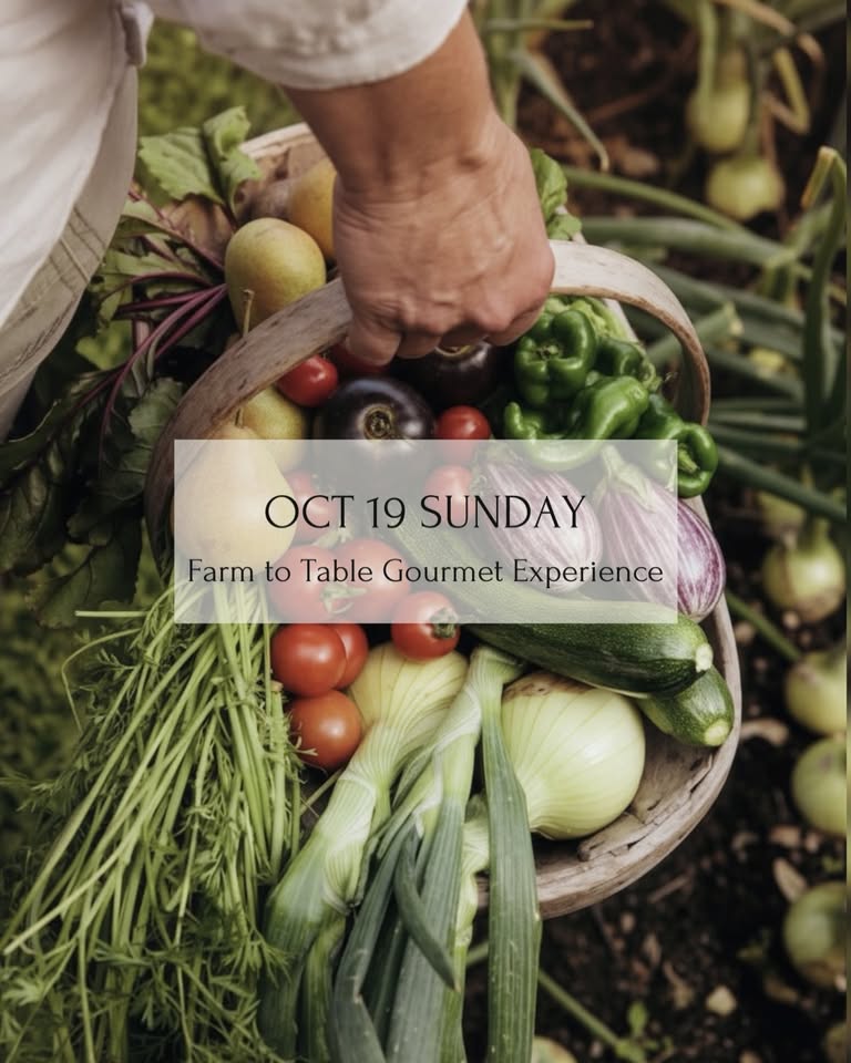Farm to Table Gourmet Experience