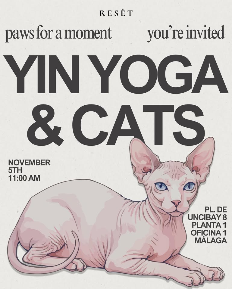Yin yoga & cats