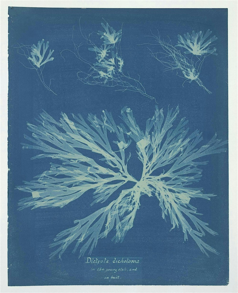 Libraries and positive climate action: inform to transform