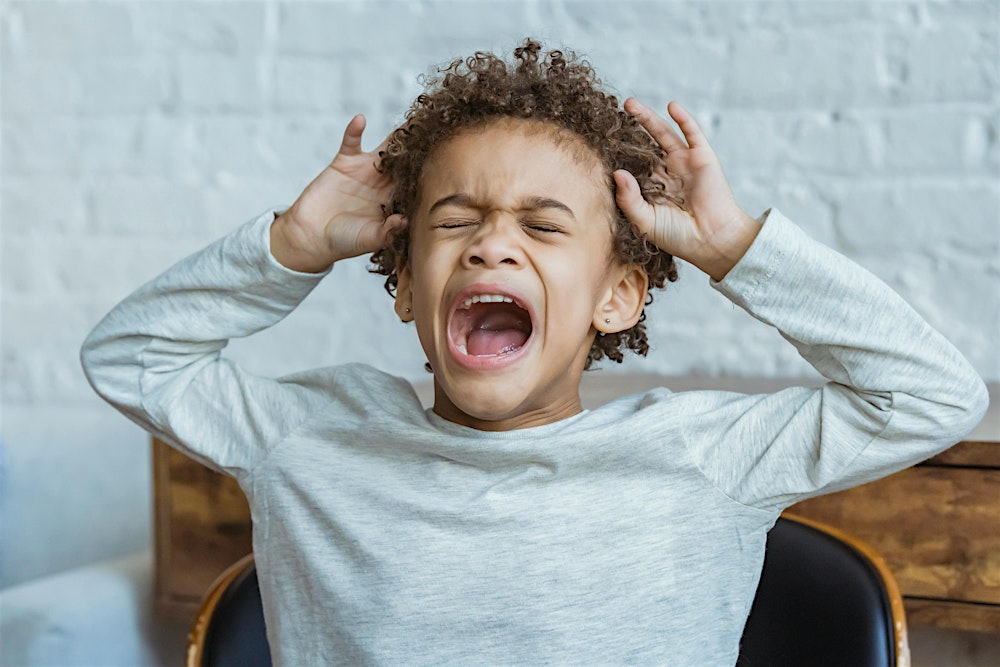 Strategies to De-escalate Children in Distress [Free Webinar]