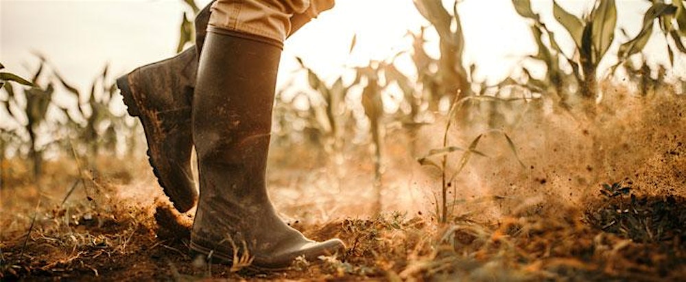 From Awareness to ACTION: Labor Trafficking 301