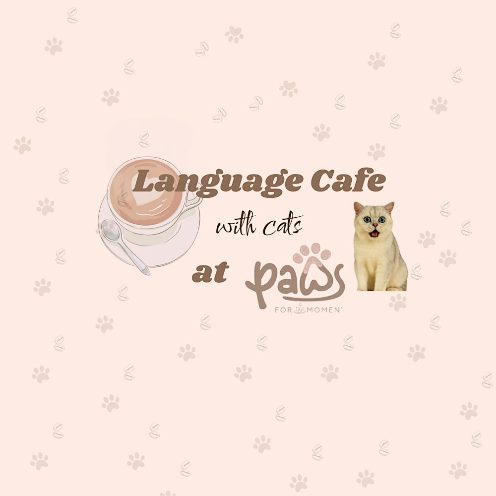 Language Cafe at a Cat Cafe