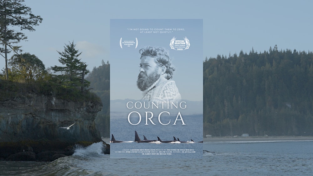 Counting Orca – Live Screening with Q&A (USA)