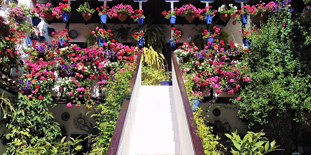 Guided tour of the Courtyards of Córdoba – Spanish