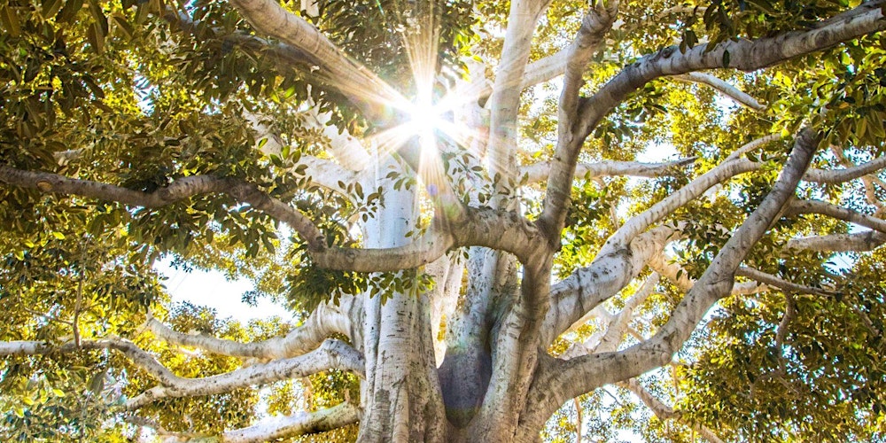 Cohabiter avec des personnes en situation d’itinérance