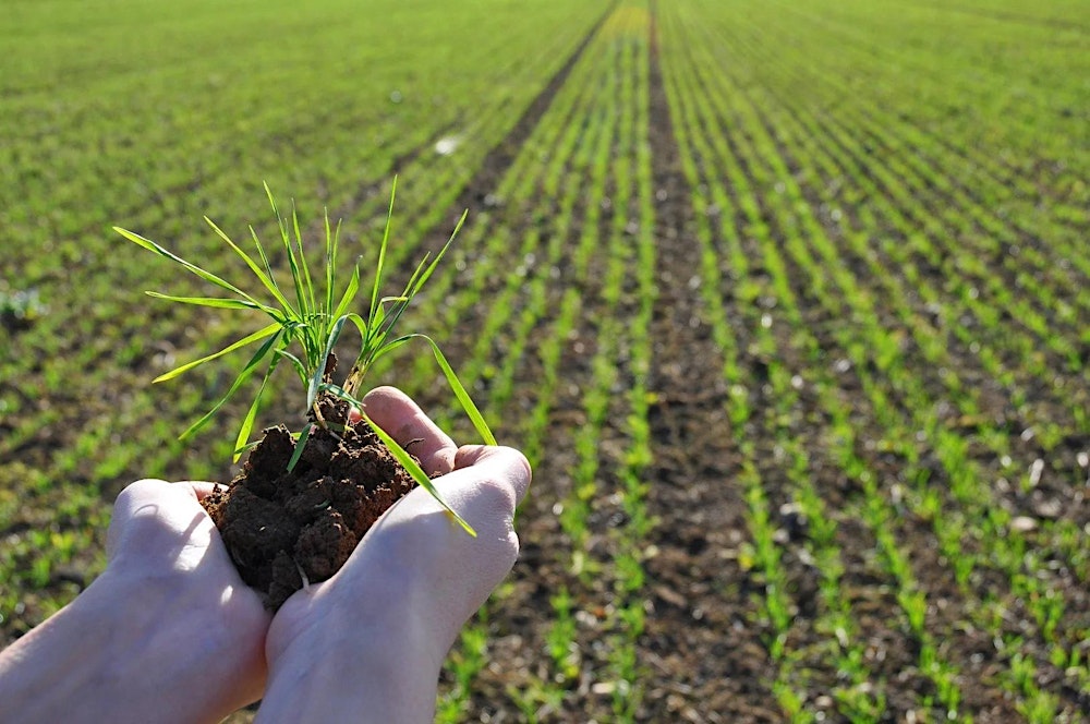 International Society of Root Research – Mini Symposium