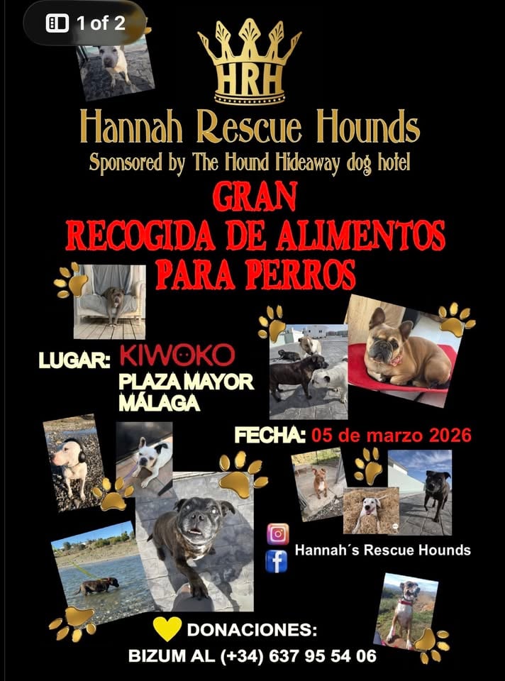 Gran recogida de alimentos para Hannah’s rescue hounds sponsored by the hound hideaway dog hotel